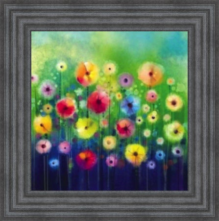 Multicoloured Poppies