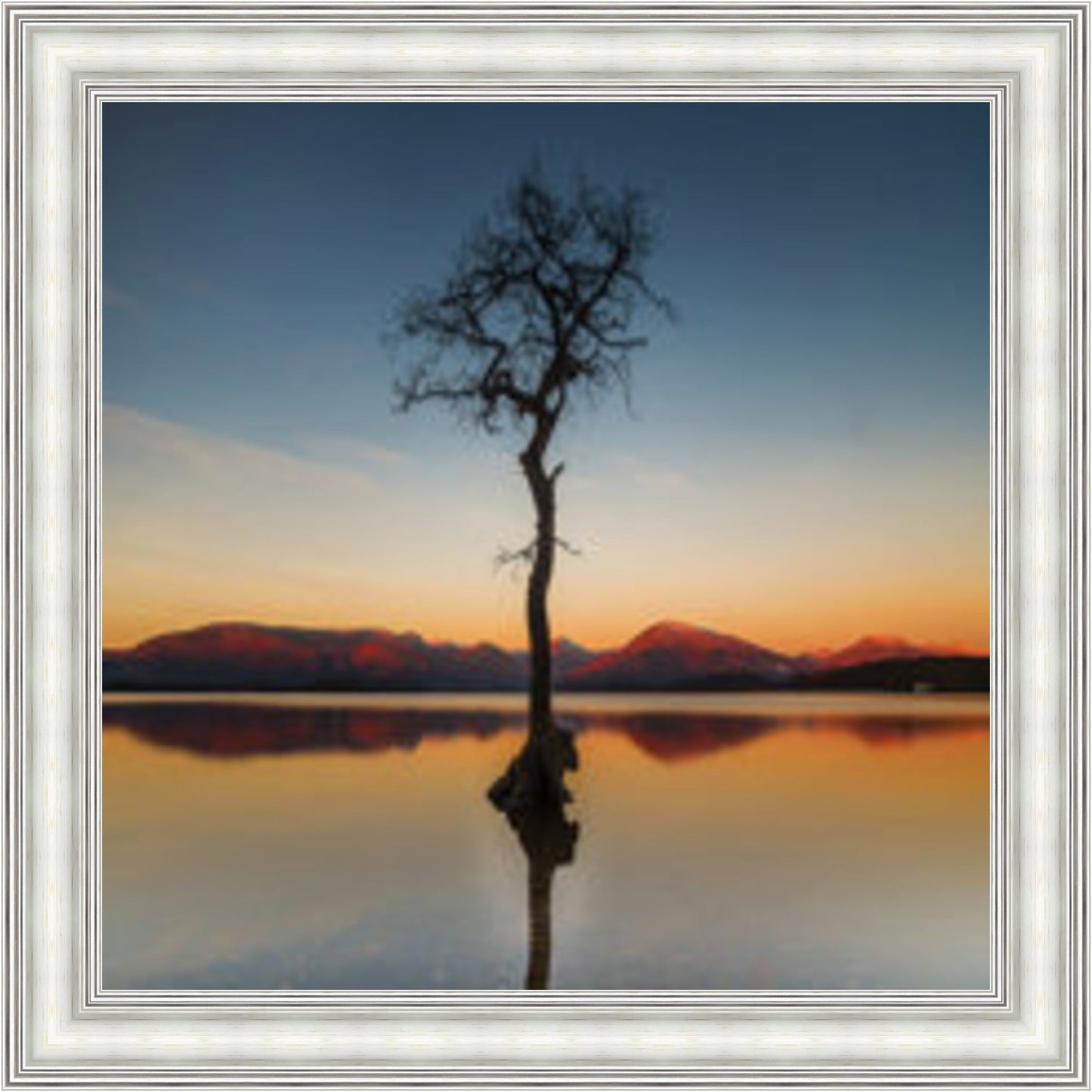 Reflected Tree, Loch Lomond - Colour Burst Mini Liquid Art