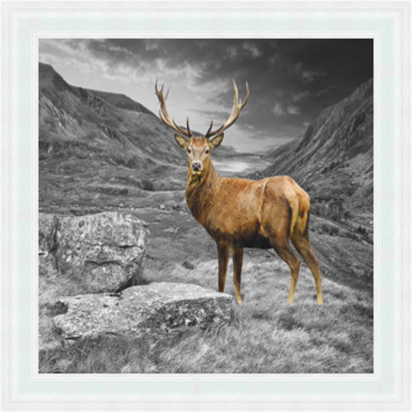 Stag - Colour Burst Mini Liquid Art