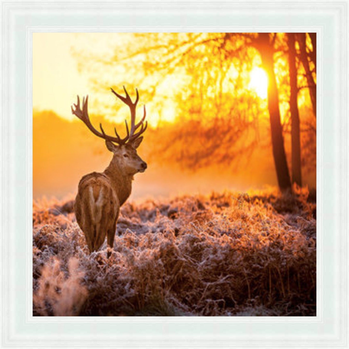 Stag In Golden Sunset Mini Liquid Art