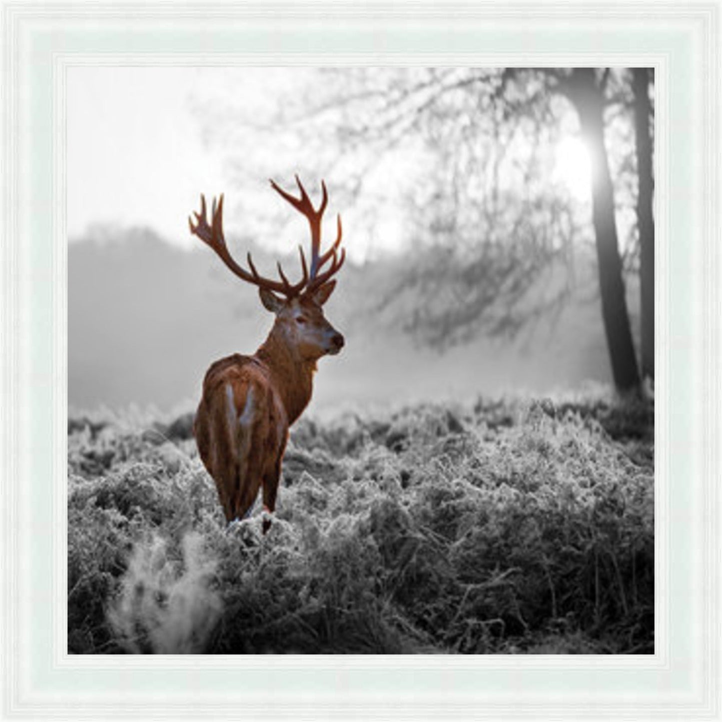 Stag In Golden Sunset - Colour Burst Mini Liquid Art