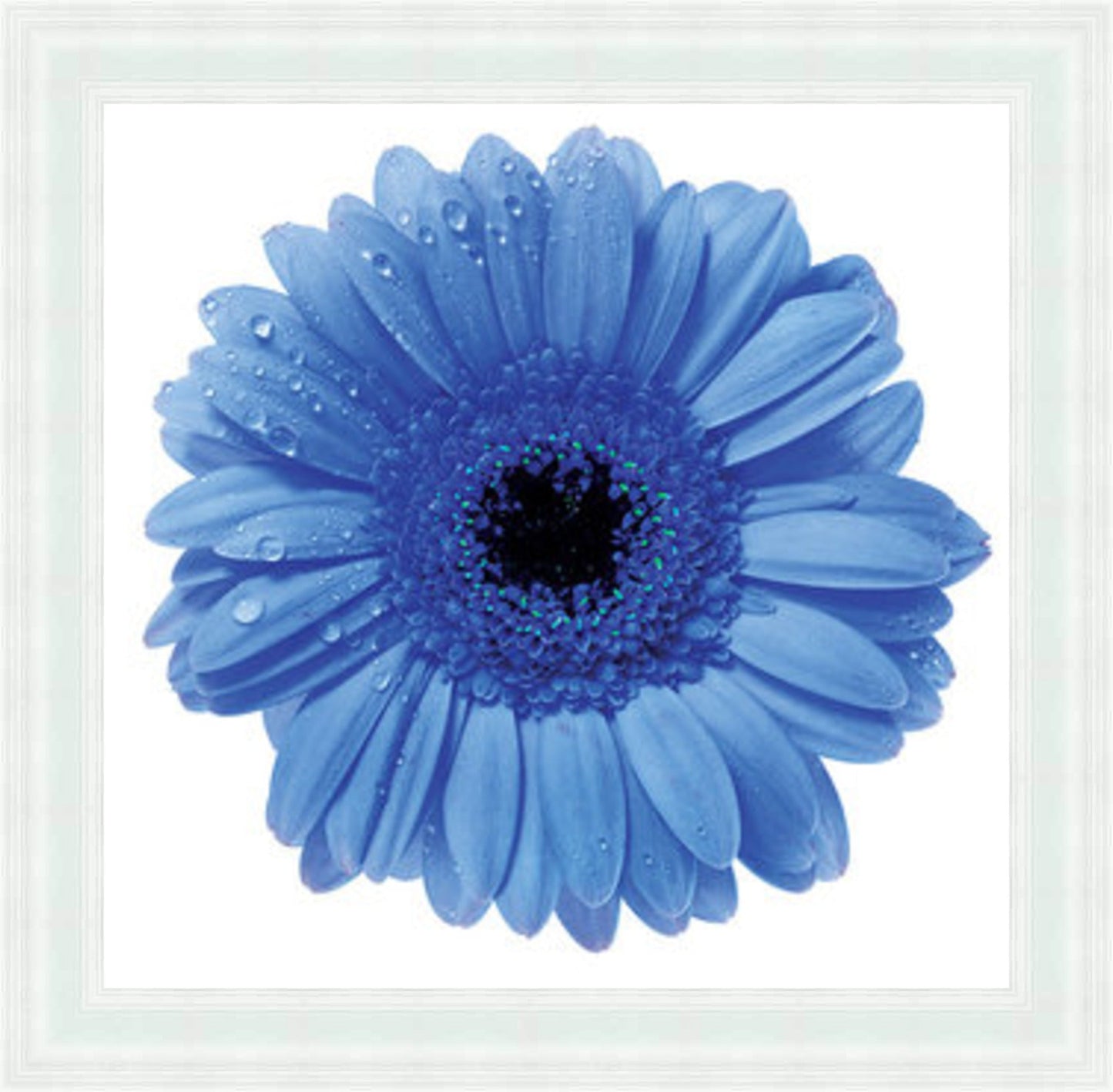 Blue Gerbera Mini Liquid Art