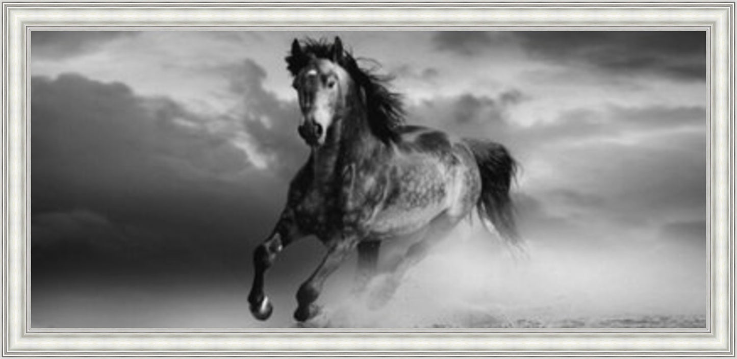Horse in Dust Storm (BW) Liquid Art
