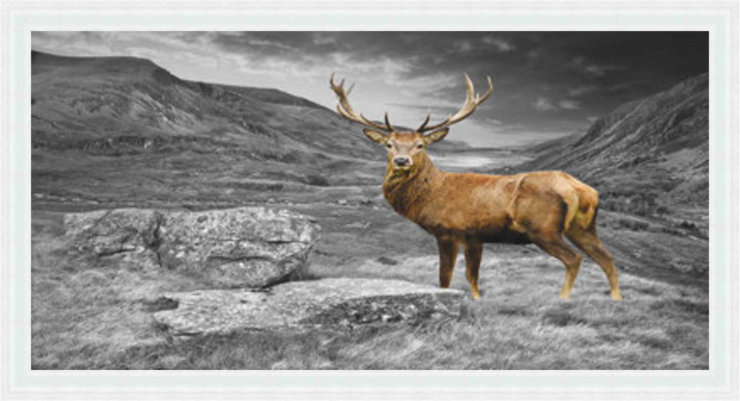 Stag - Colour Burst Liquid Art