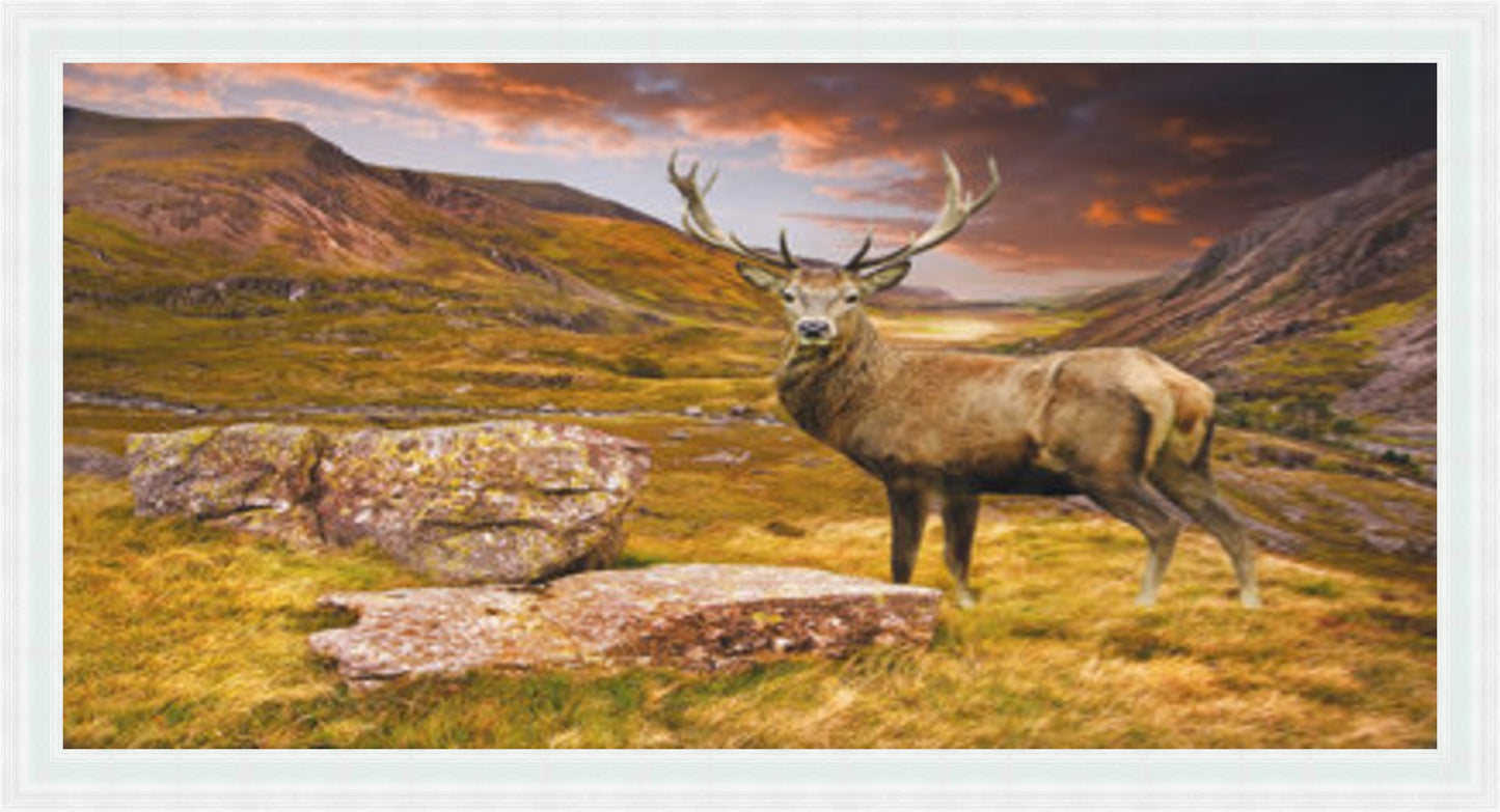 Stag - Colour Burst Liquid Art