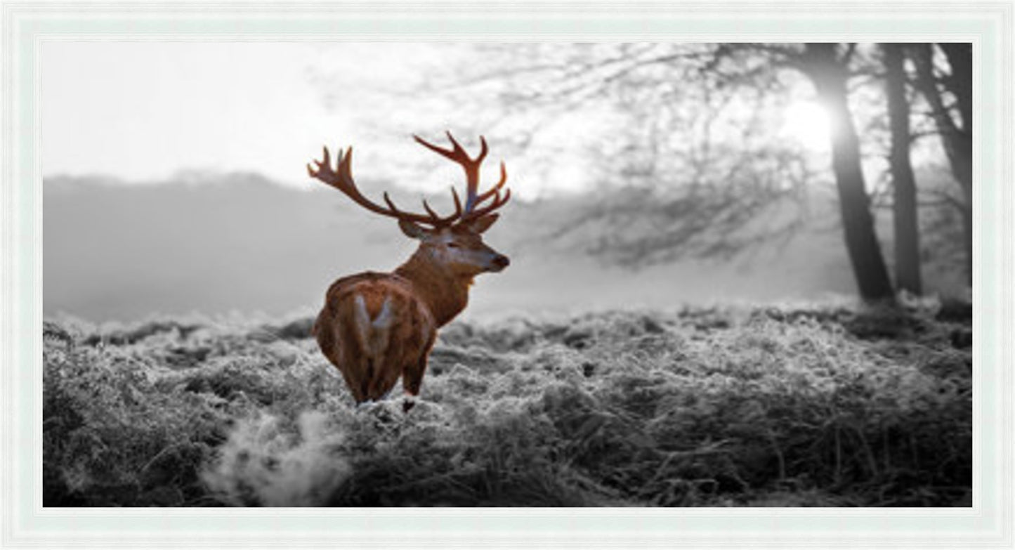 Stag In Golden Sunset - Colour Burst Liquid Art