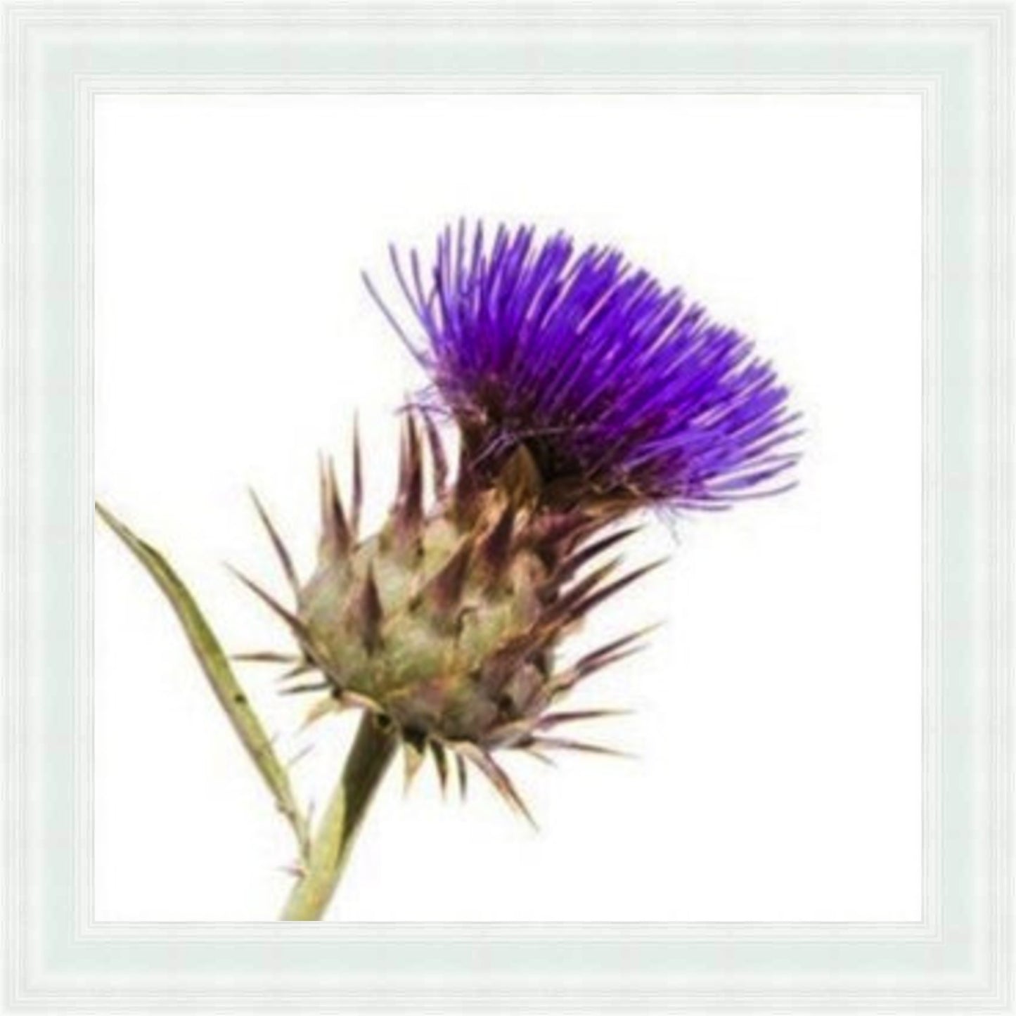 Thistle - Burst of Colour Liquid Art