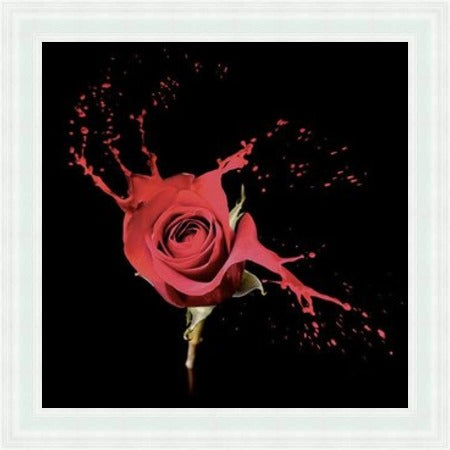 Red Rose Liquid Art