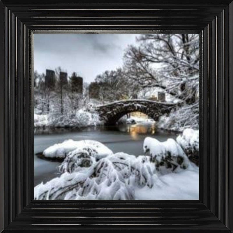 Central Park Winter, New York