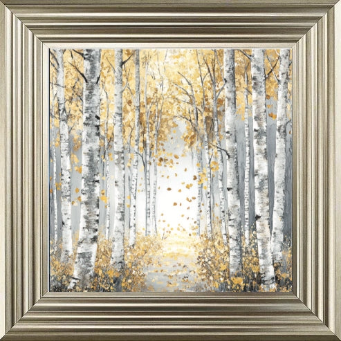 Silver Birch Moody Gold Leaves