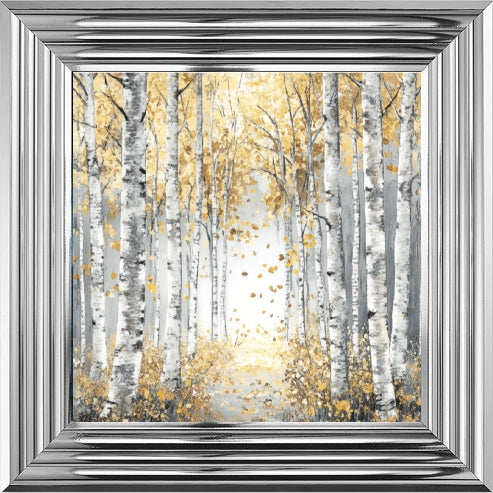 Silver Birch Moody Gold Leaves