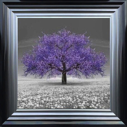 Purple Cherry Blossom Tree