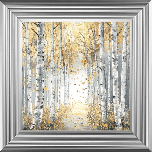 Silver Birch Moody Gold Leaves