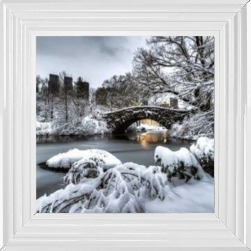 Central Park Winter, New York