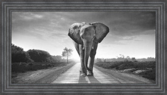 Walking Home - Black and White