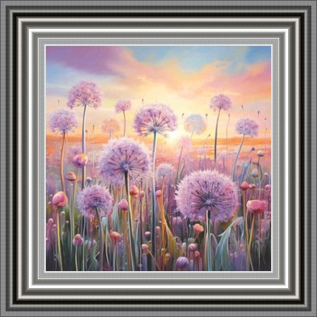 Pastel Allium Sunrise