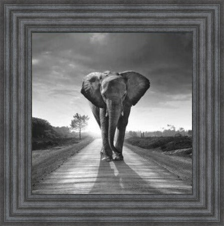 Walking Home - Black and White