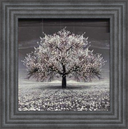 White Cherry Blossom Tree