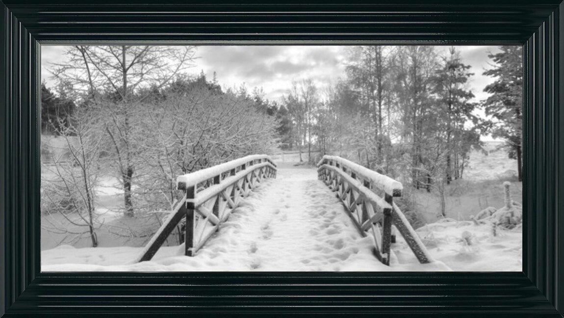 Snowy Path Black and White
