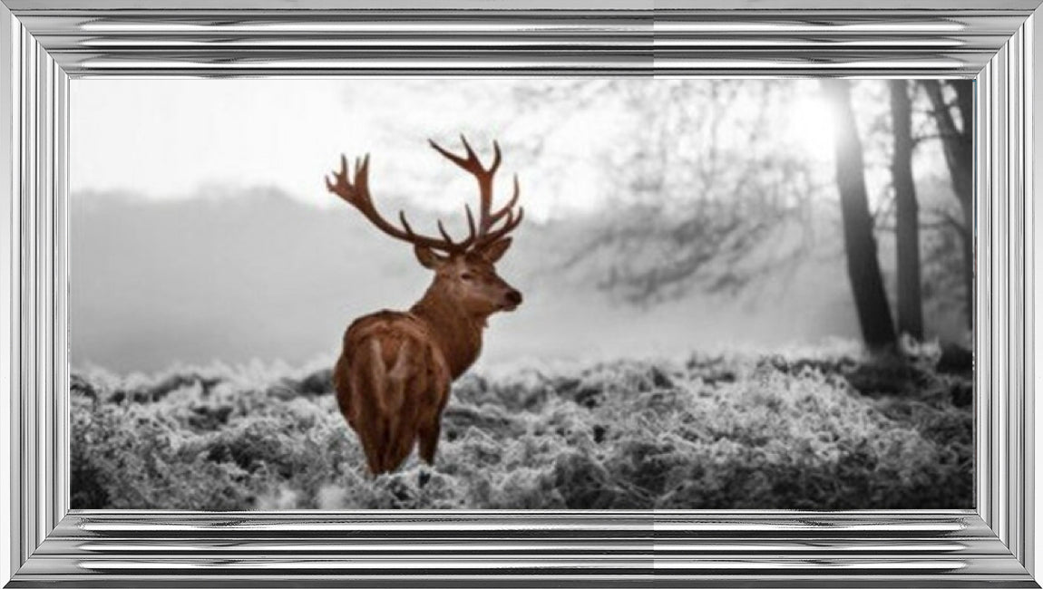 Stag In Golden Sunset - Colour Splash