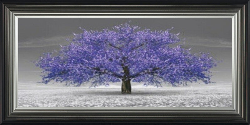 Purple Cherry Blossom Tree