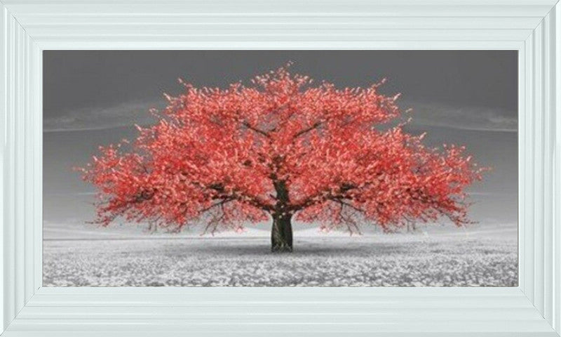 Red Cherry Blossom Tree