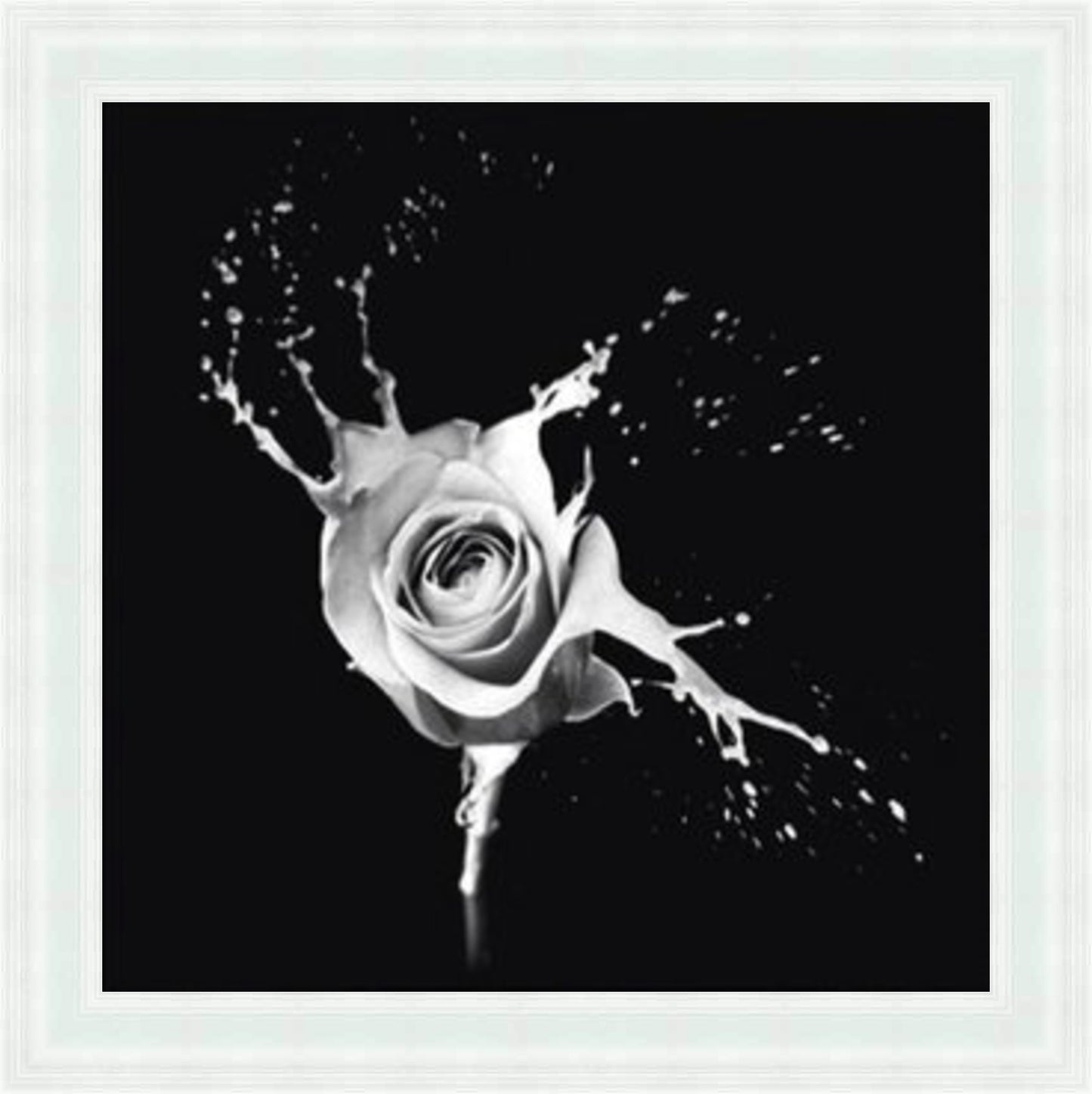 Black & White Rose - Slim Frame