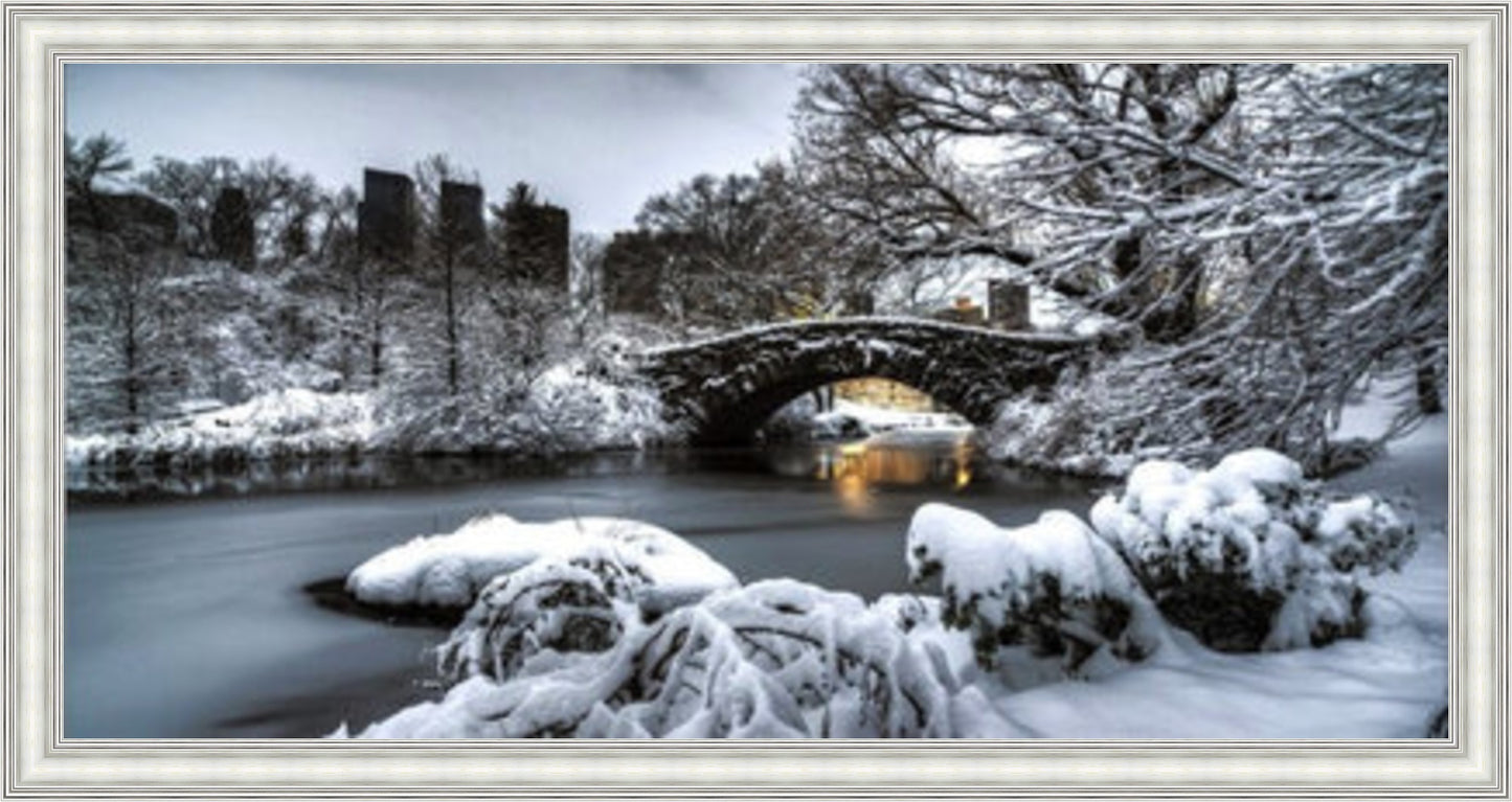 Central Park Winter, New York - Colour Burst - Slim Frame