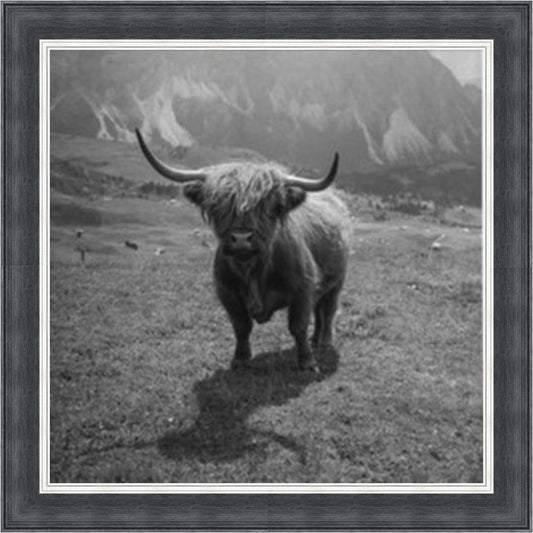 Highland Cow - Black & White - Slim Frame