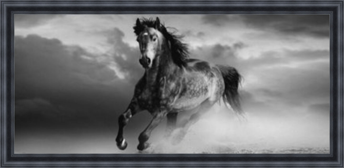 Horse in Dust Storm - Black & White - Slim Frame