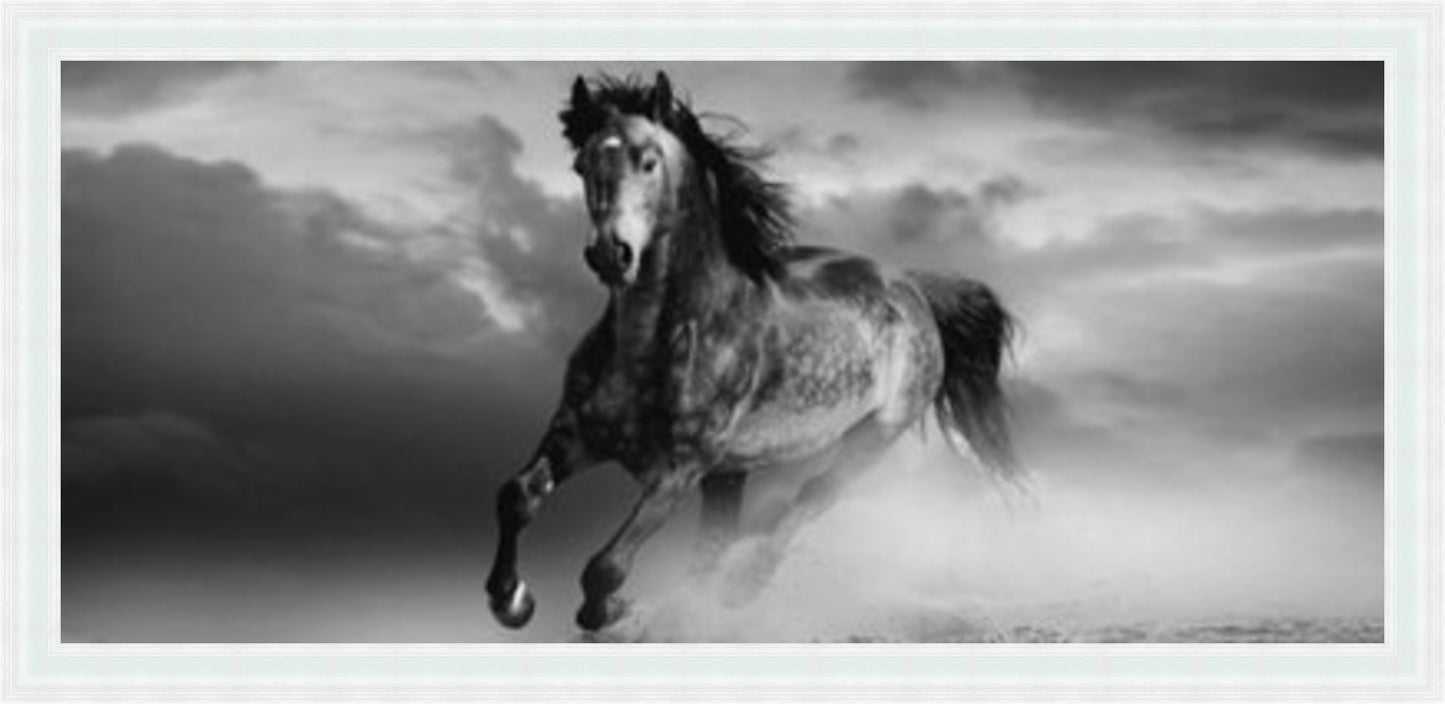 Horse in Dust Storm - Black & White - Slim Frame