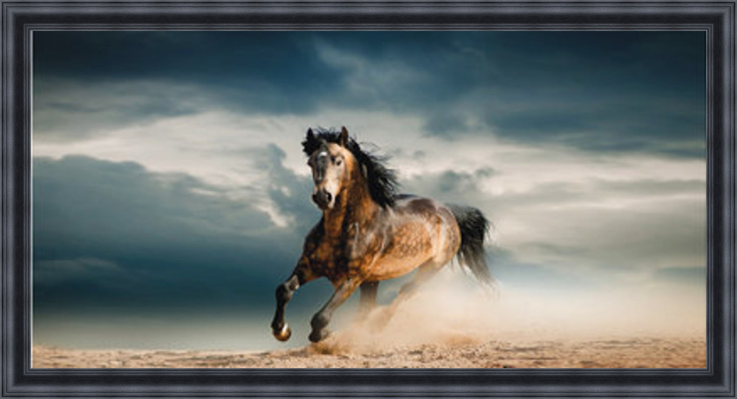 Horse in Dust Storm - Colour Explosion - Slim Frame