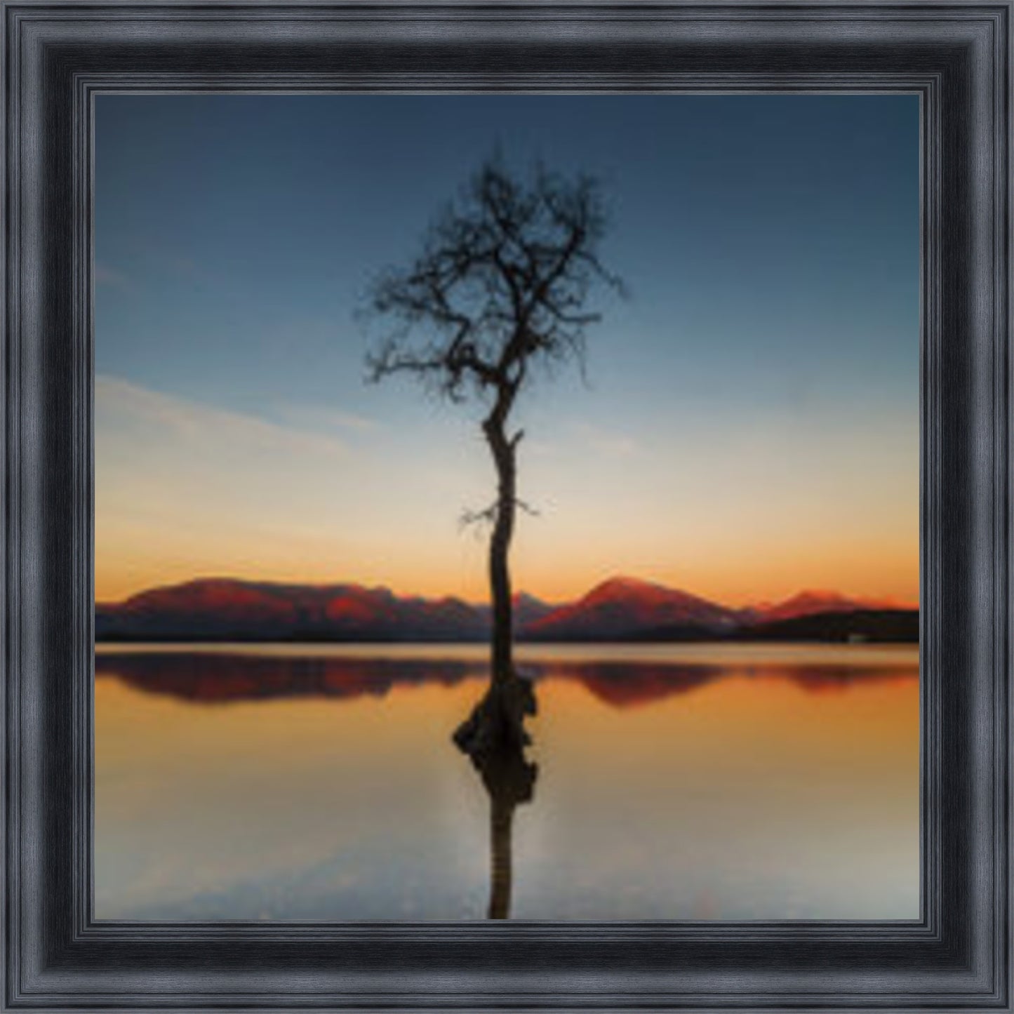 Reflected Tree, Loch Lomond - Colour Burst - Slim Frame