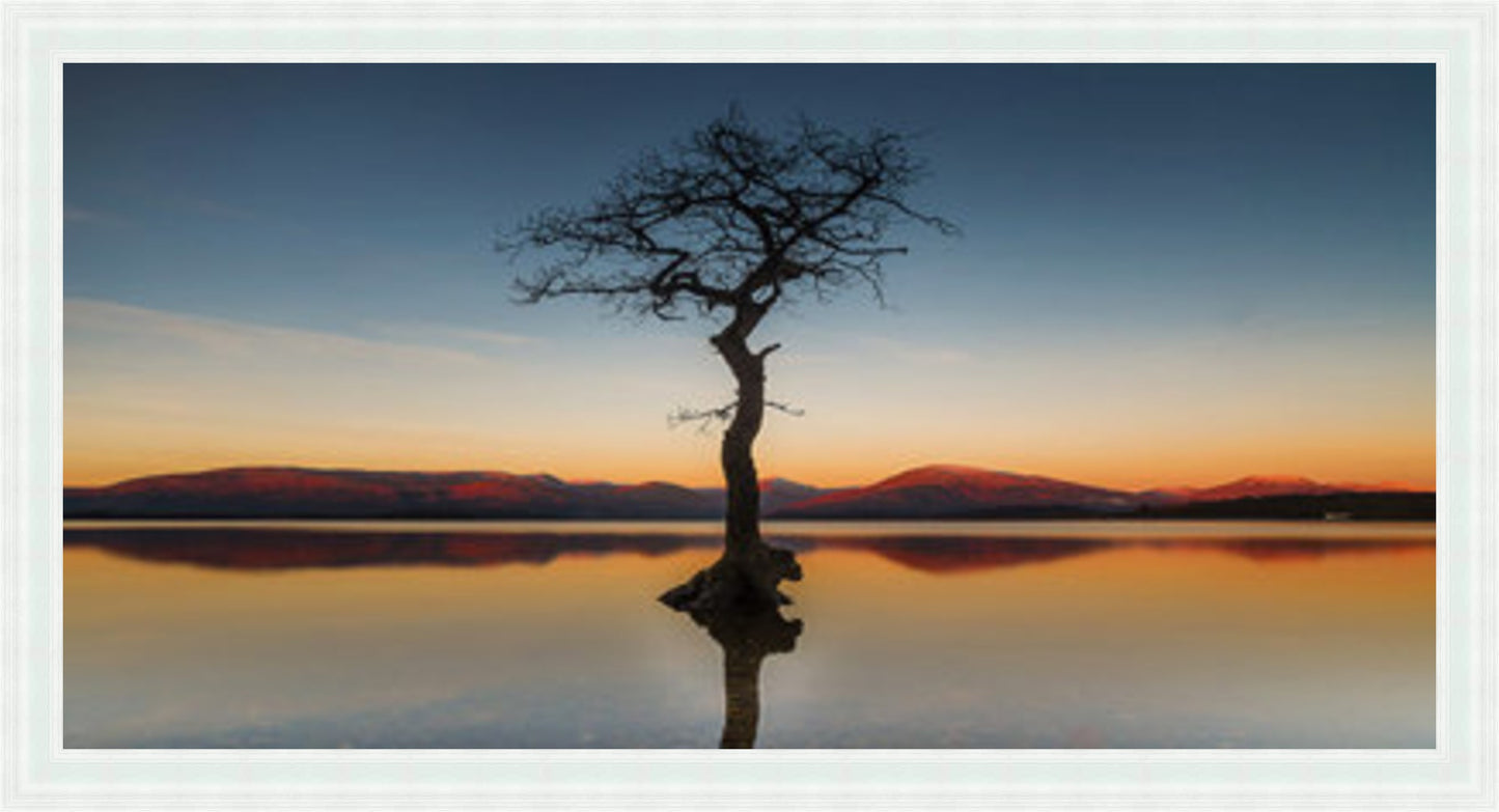 Reflected Tree, Loch Lomond - Colour Burst - Slim Frame