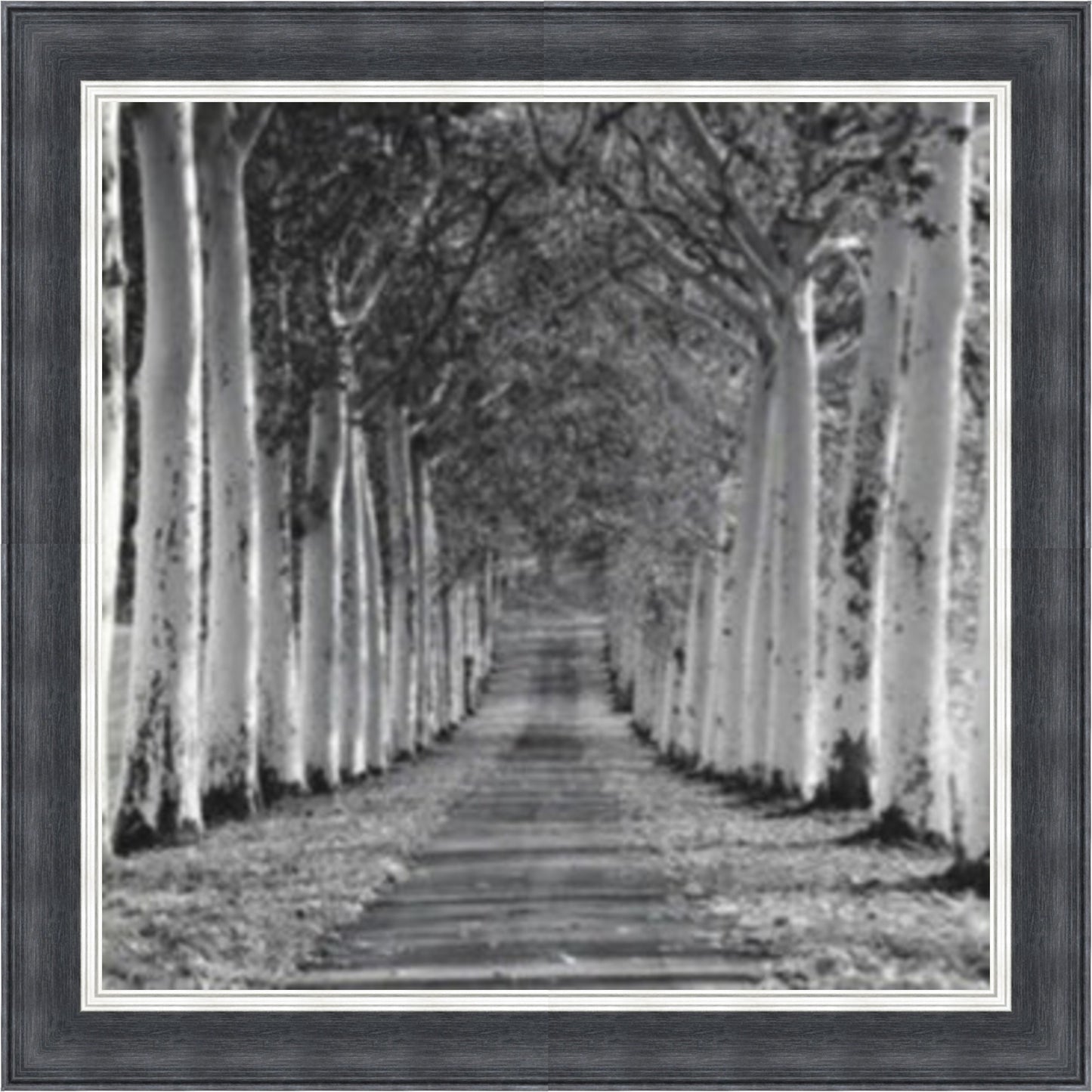 Tree Lined Walk - Slim Frame