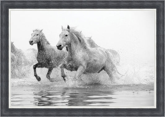 White Horses - Slim Frame