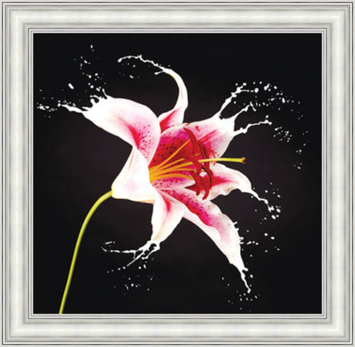 Lily - Slim Frame