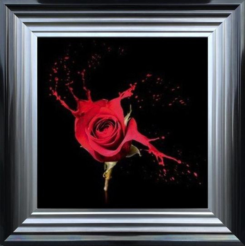 Black-Red Rose
