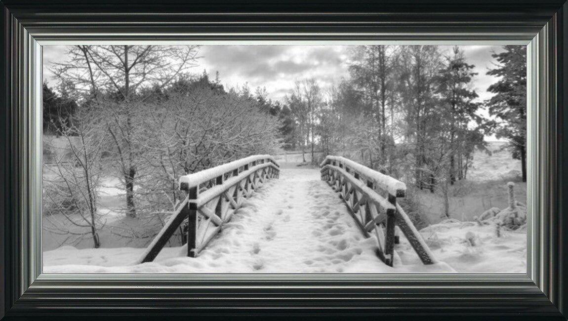 Snowy Path Black and White