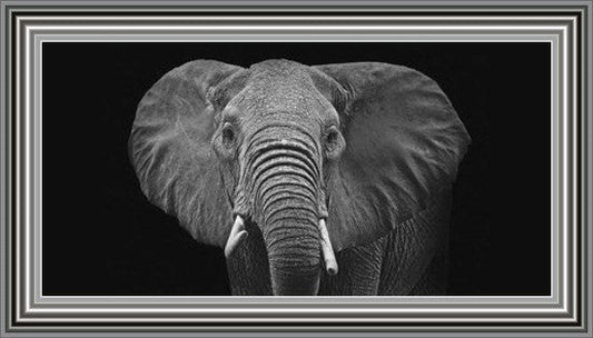 Kenyan Elephant - Black and White