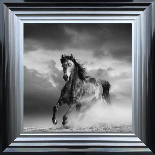 Horse in Sandstorm - Black and White