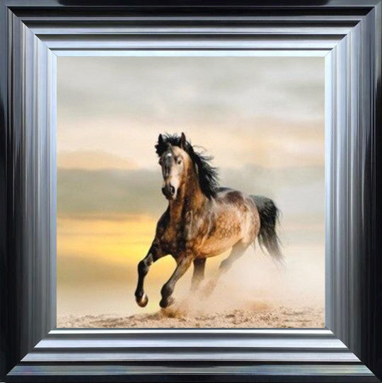 Horse in Sandstorm